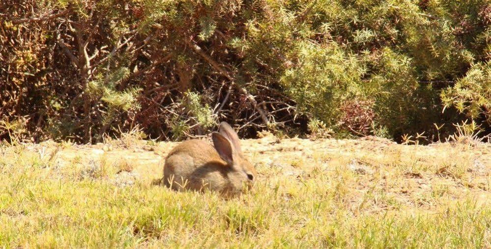 Kalimera Paros サンタ・マリア エクステリア 写真